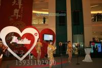 石家莊展覽展示策劃與公關咨詢 一站式企業策劃服務解決方案